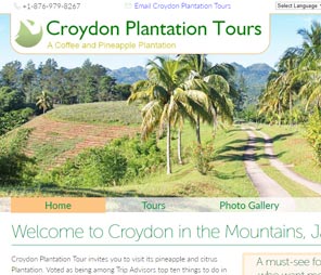 Croydon Plantation Tour